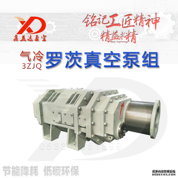 干式-多级气冷罗茨真空泵特点 MVR气冷式蒸汽压缩(图3)