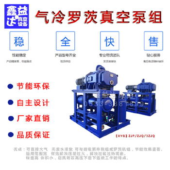 单级气冷罗茨泵